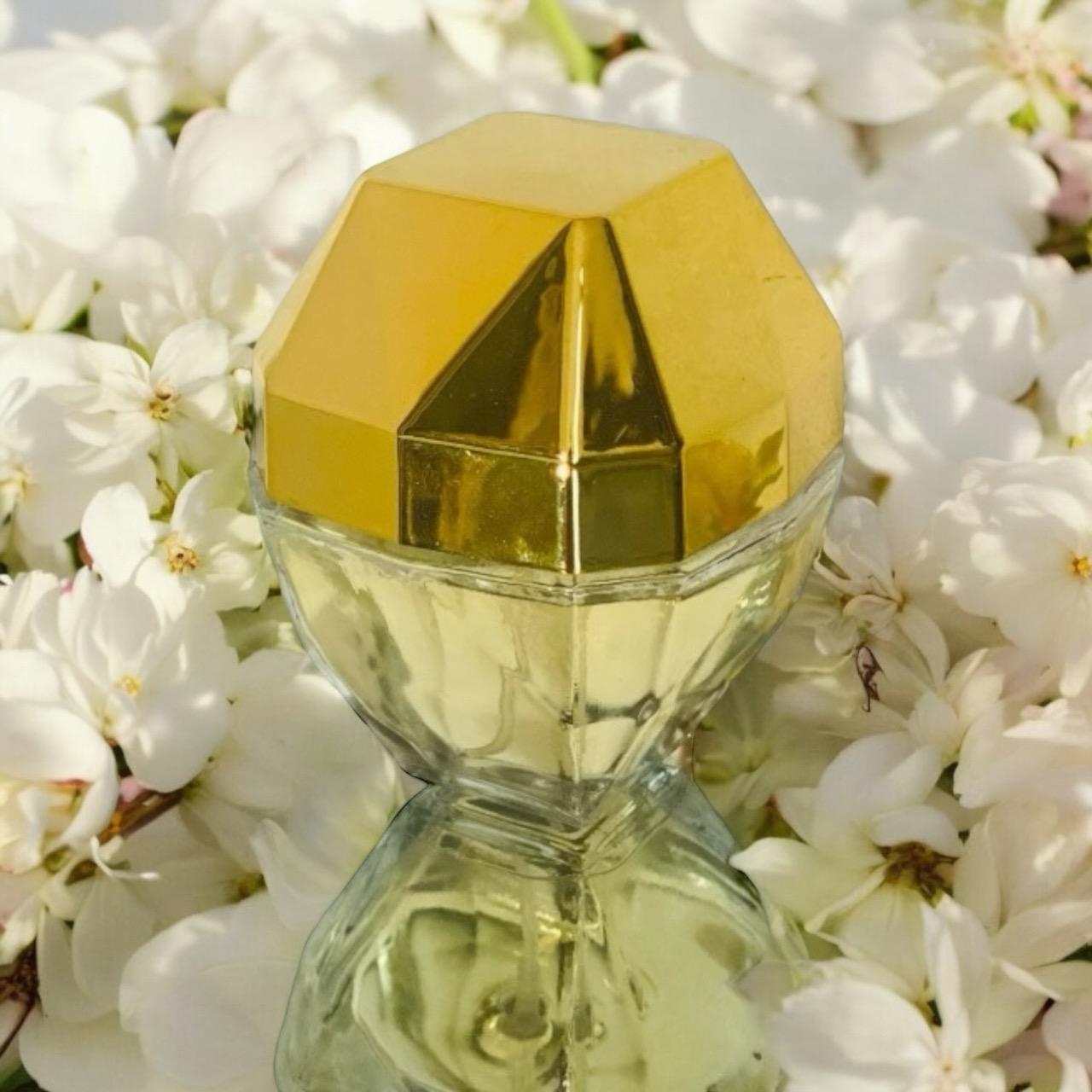 Inspired Lady Million by Paco Rabanne - Glamorous & Elegant
